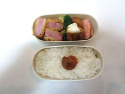 20170117.JPG
